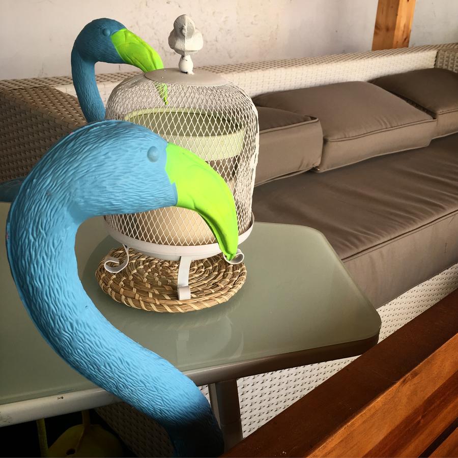 Hostel Cocos Surfhouse La Arena Zewnętrze zdjęcie